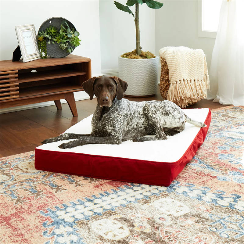 OSCAR ORTHOPEDIC DOG BED